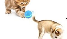 爆料宠物玩具怎么做视频,轻松上手，打造萌宠专属乐园